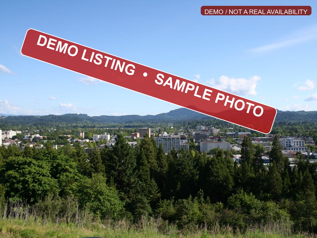 Demo listing sample photo 1 of 3 for Remote-work friendly room near campus